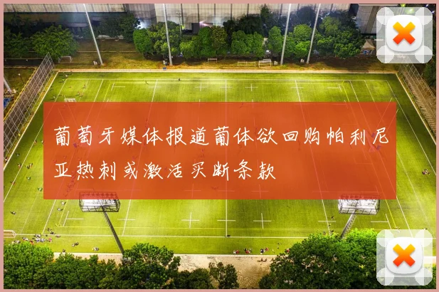 葡萄牙媒体报道葡体欲回购帕利尼亚热刺或激活买断条款